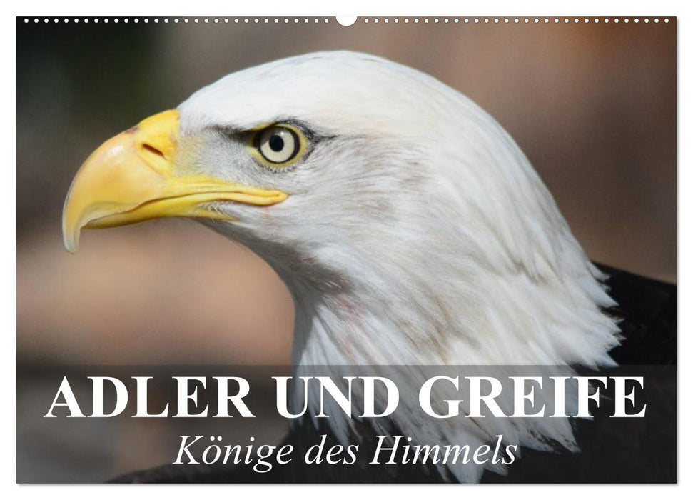 Adler und Greife - Könige des Himmels (CALVENDO Wandkalender 2025)