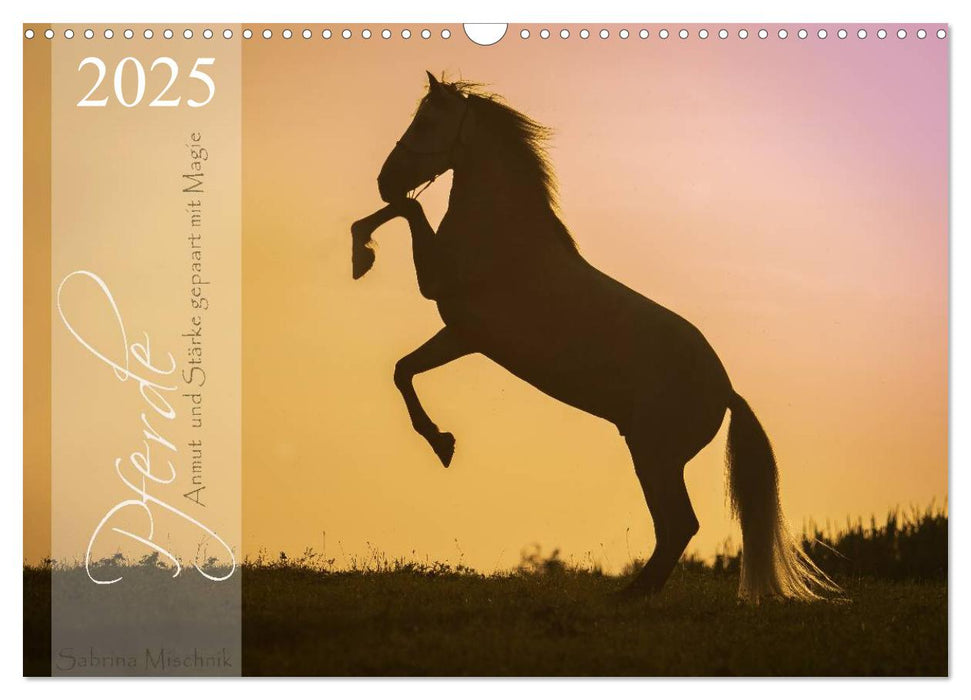 Pferde - Anmut und Stärke gepaart mit Magie (CALVENDO Wandkalender 2025)