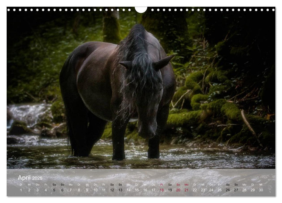 Pferde - Anmut und Stärke gepaart mit Magie (CALVENDO Wandkalender 2025)