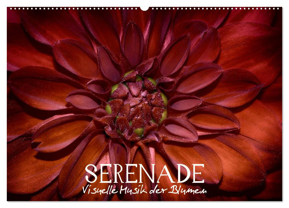 Serenade - Visuelle Musik der Blumen (CALVENDO Wandkalender 2025)