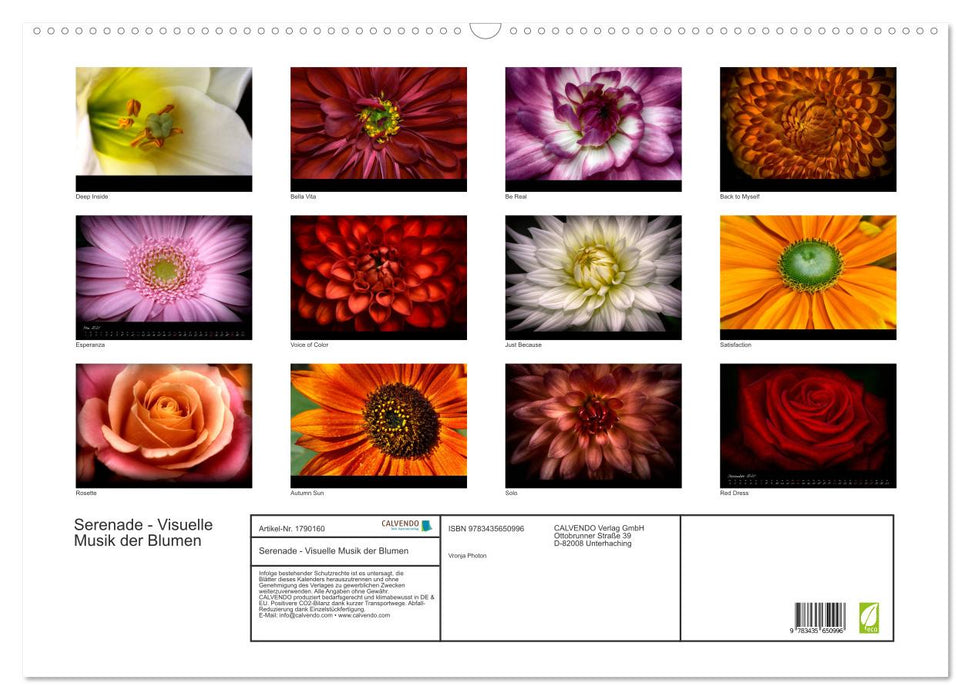 Serenade - Visuelle Musik der Blumen (CALVENDO Wandkalender 2025)