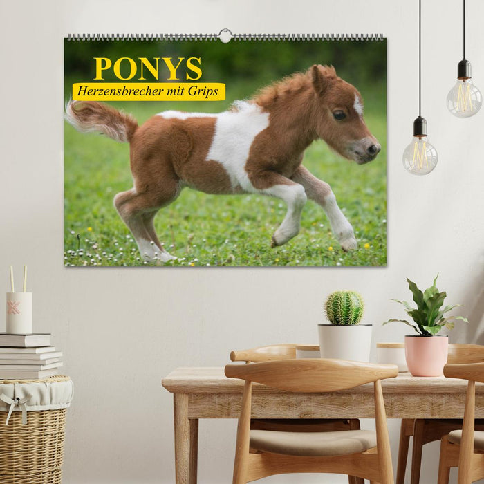Ponys. Herzensbrecher mit Grips (CALVENDO Wandkalender 2025)