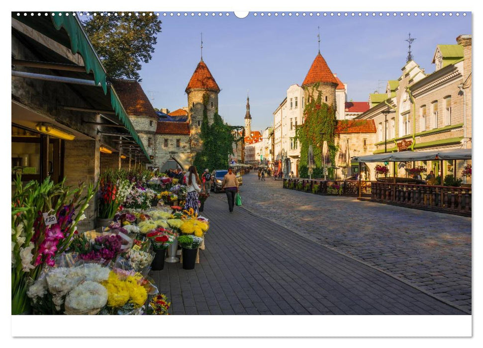 Tallinn Altstadt (CALVENDO Wandkalender 2025)