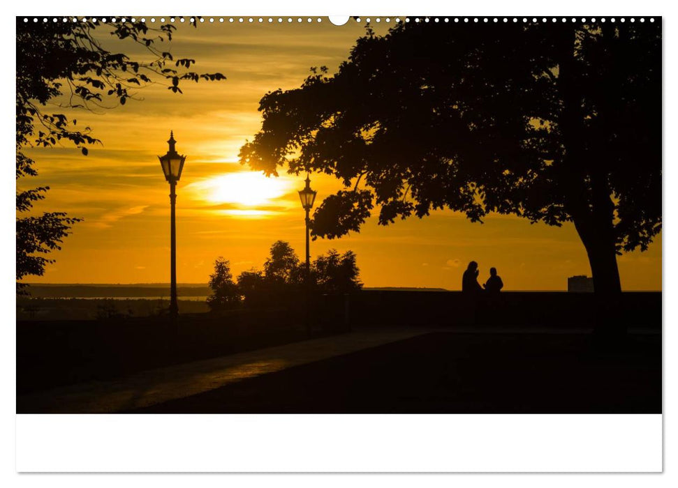 Tallinn Altstadt (CALVENDO Wandkalender 2025)