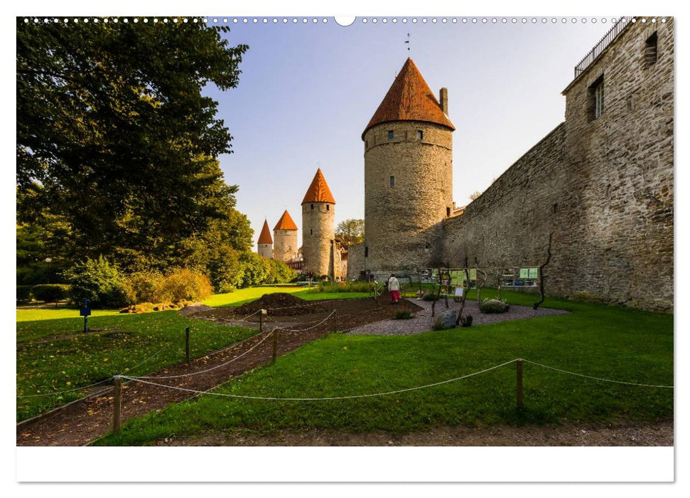 Tallinn Altstadt (CALVENDO Wandkalender 2025)