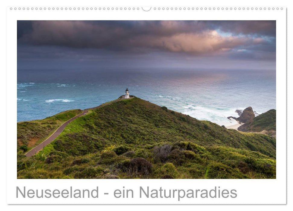 Neuseeland - ein Naturparadies (CALVENDO Wandkalender 2025)