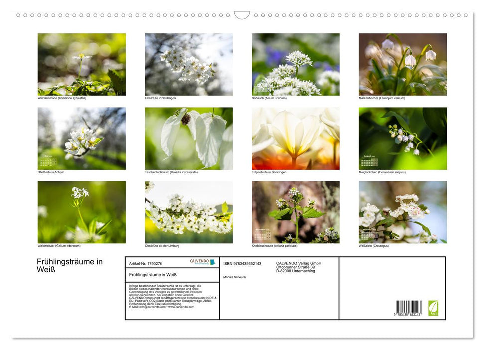 Frühlingsträume in Weiß (CALVENDO Wandkalender 2025)