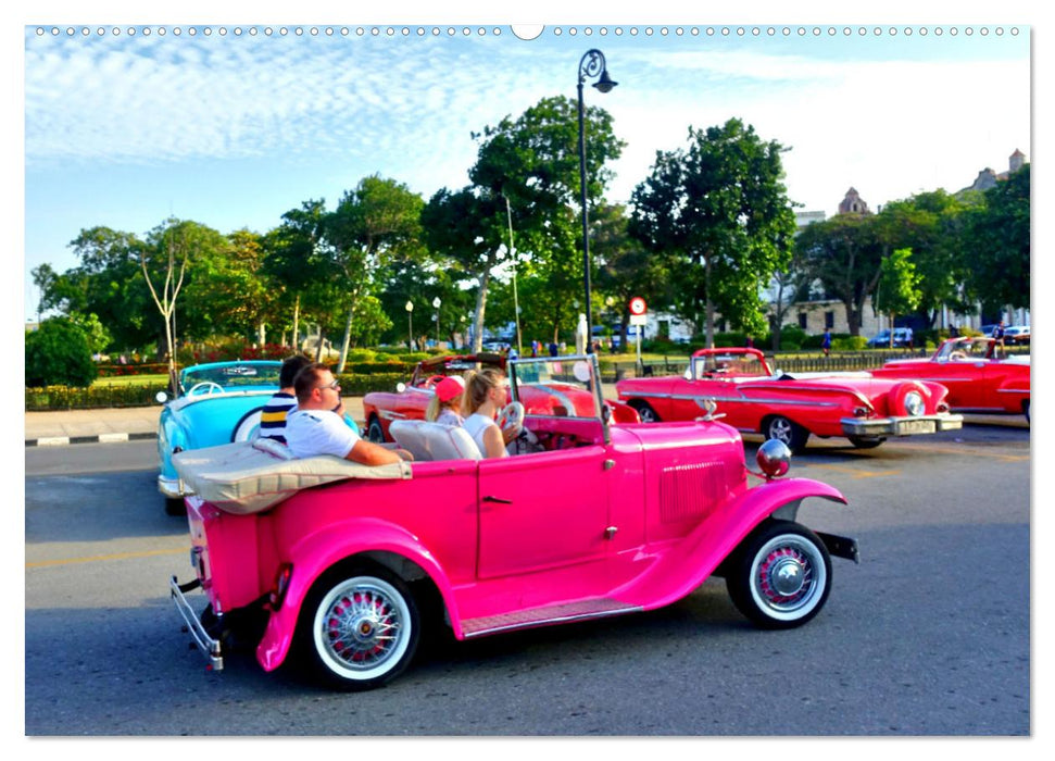 Pink Lady - Ford Modell A in Havanna (CALVENDO Premium Wandkalender 2025)