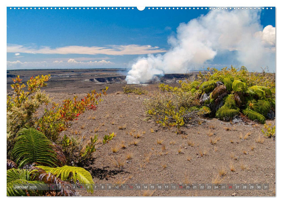 Hawii von Waikiki bis Maui (CALVENDO Premium Wandkalender 2025)