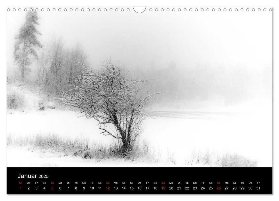 Farblose Kontraste, s/w Fotografie (CALVENDO Wandkalender 2025)