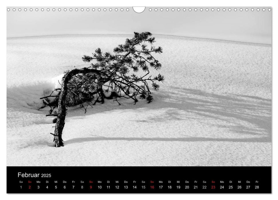 Farblose Kontraste, s/w Fotografie (CALVENDO Wandkalender 2025)