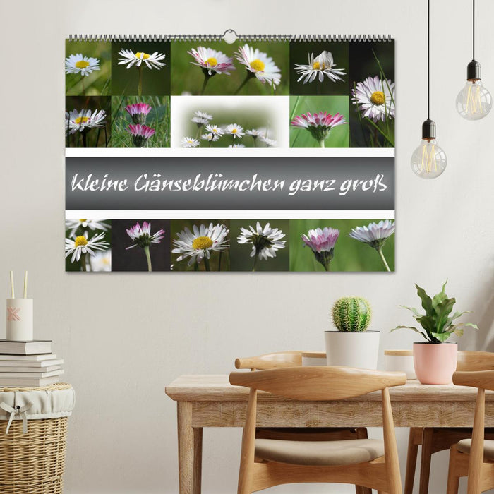 kleine Gänseblümchen ganz groß (CALVENDO Wandkalender 2025)