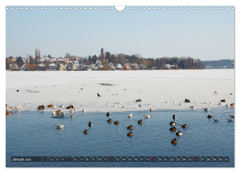 Naturpark Holsteinische Schweiz (CALVENDO Wandkalender 2025)