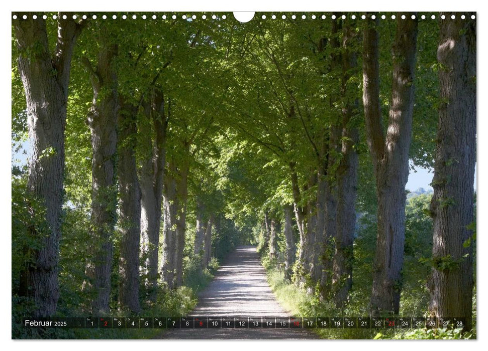 Naturpark Holsteinische Schweiz (CALVENDO Wandkalender 2025)