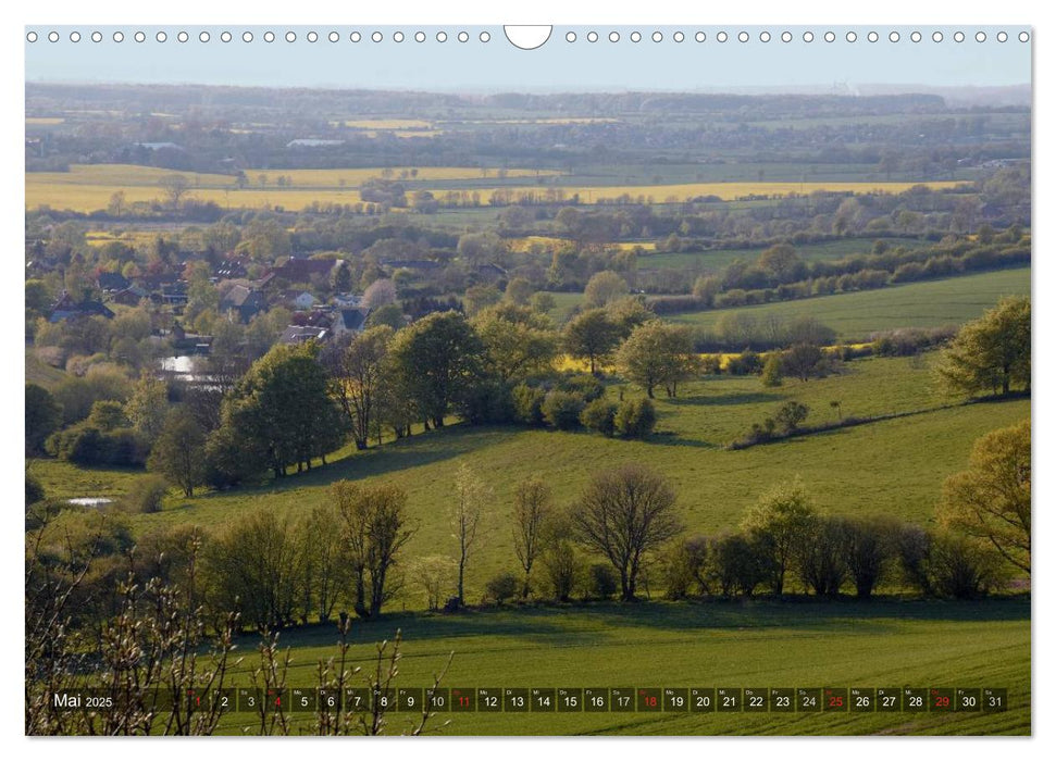 Naturpark Holsteinische Schweiz (CALVENDO Wandkalender 2025)