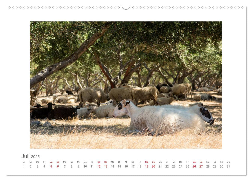 Griechenlands Perlen Kreta und Santorin (CALVENDO Premium Wandkalender 2025)