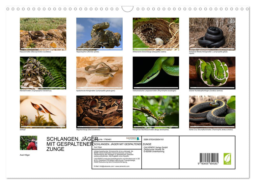 SCHLANGEN. JÄGER MIT GESPALTENER ZUNGE (CALVENDO Wandkalender 2025)