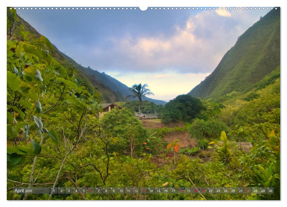 Hawii von Waikiki bis Maui (CALVENDO Wandkalender 2025)