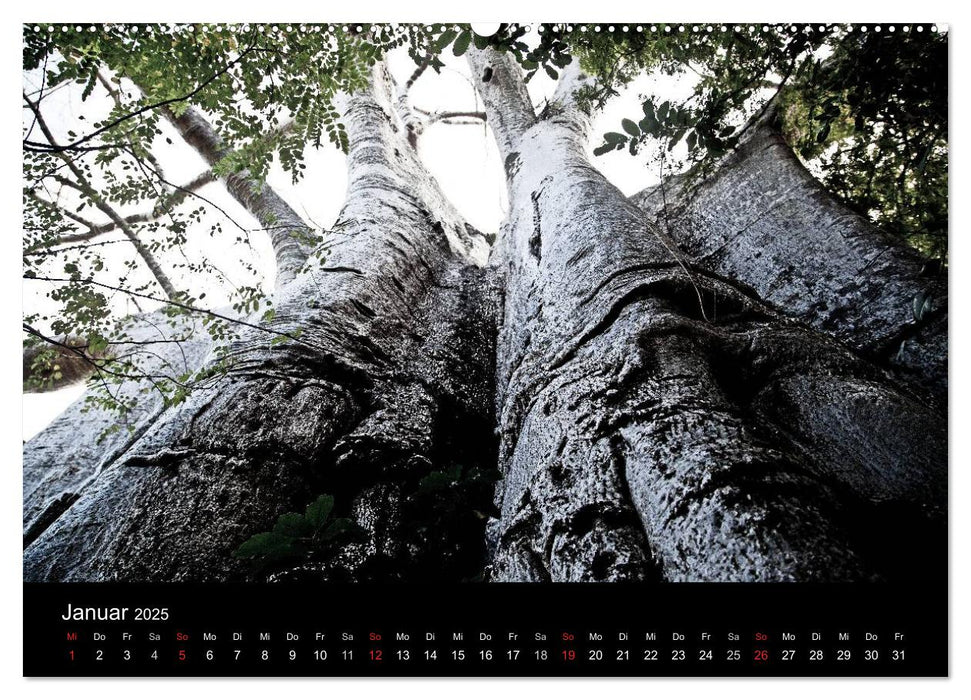 Malawi (CALVENDO Premium Wandkalender 2025)