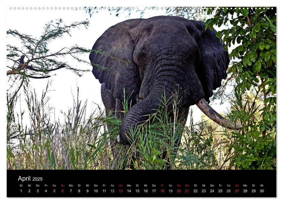 Malawi (CALVENDO Premium Wandkalender 2025)