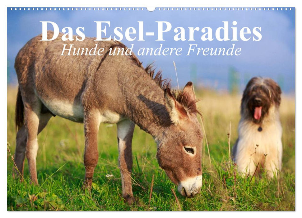 Das Esel-Paradies - Hunde und andere Feunde (CALVENDO Wandkalender 2025)