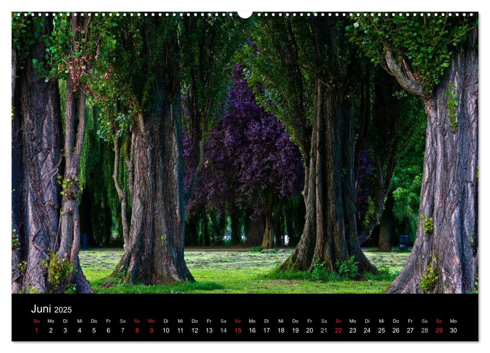 Charmantes Hamburg (CALVENDO Premium Wandkalender 2025)