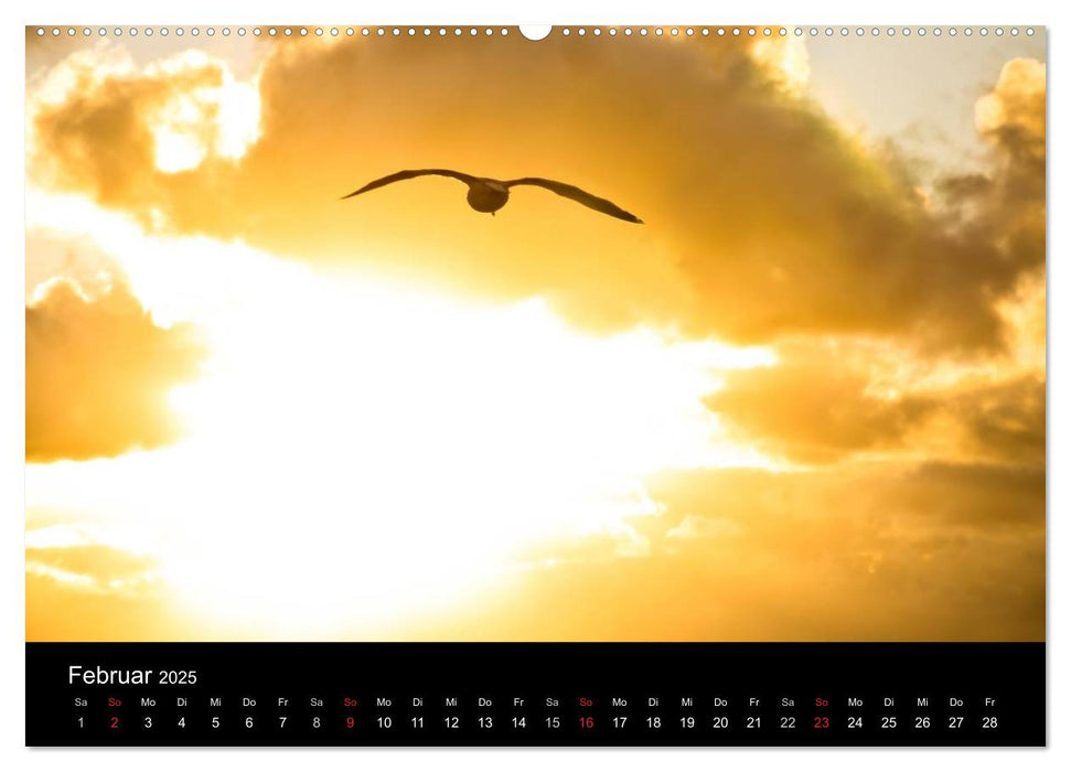 Wolkenmalerei (CALVENDO Premium Wandkalender 2025)