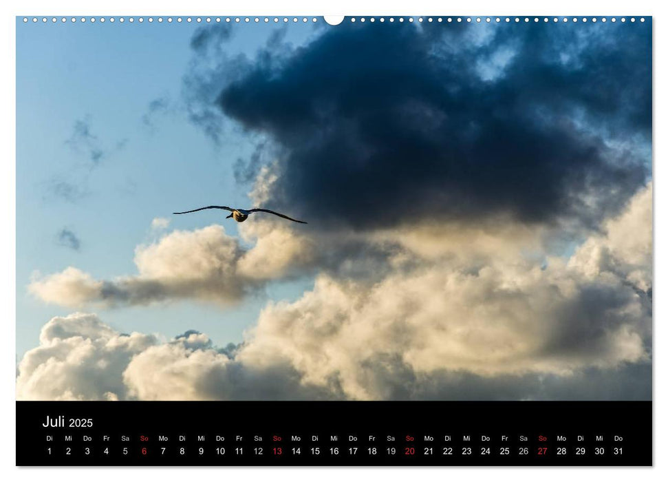 Wolkenmalerei (CALVENDO Premium Wandkalender 2025)