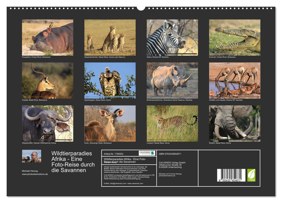 Wildtierparadies Afrika - Eine Foto-Reise durch die Savannen (CALVENDO Premium Wandkalender 2025)