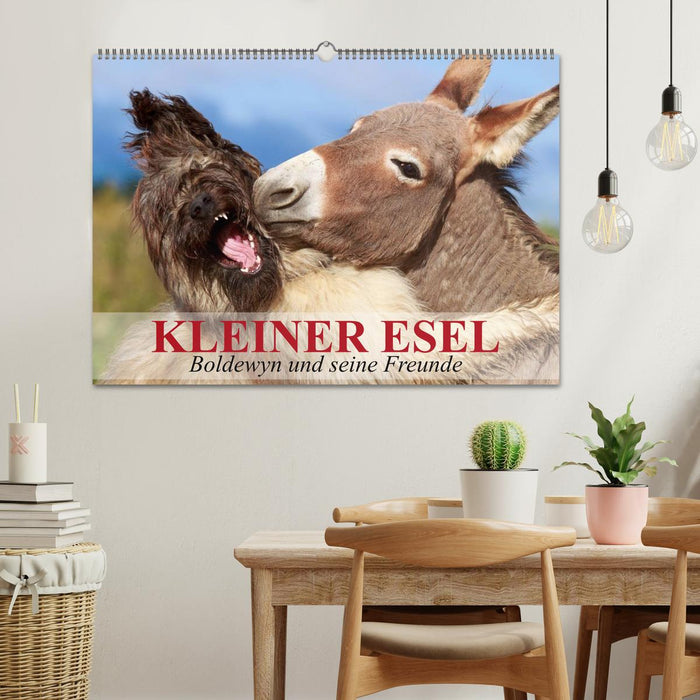 Kleiner Esel. Boldewyn und seine Freunde (CALVENDO Wandkalender 2025)