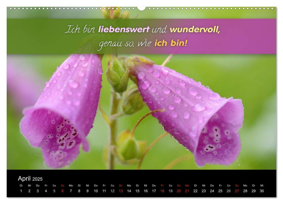 YouFeelGood - Positive Impulse für mehr Selbstbewusstsein und Selbstvertrauen (CALVENDO Premium Wandkalender 2025)