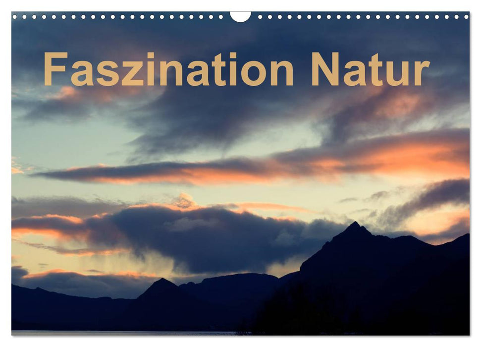 Fasziantion Natur (CALVENDO Wandkalender 2025)