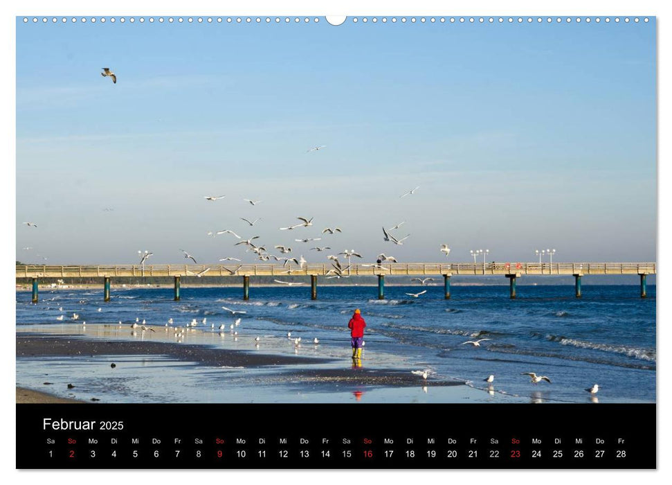 Meer und Küste (CALVENDO Premium Wandkalender 2025)