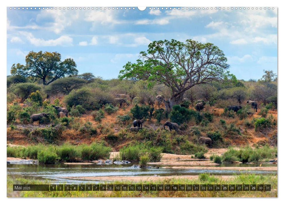 Südafrika - Die Landschaft (CALVENDO Premium Wandkalender 2025)