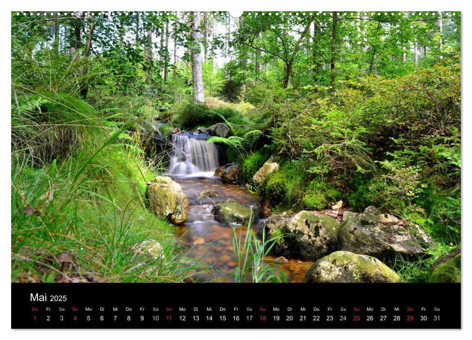 Rund um den Ochsenkopf (CALVENDO Wandkalender 2025)