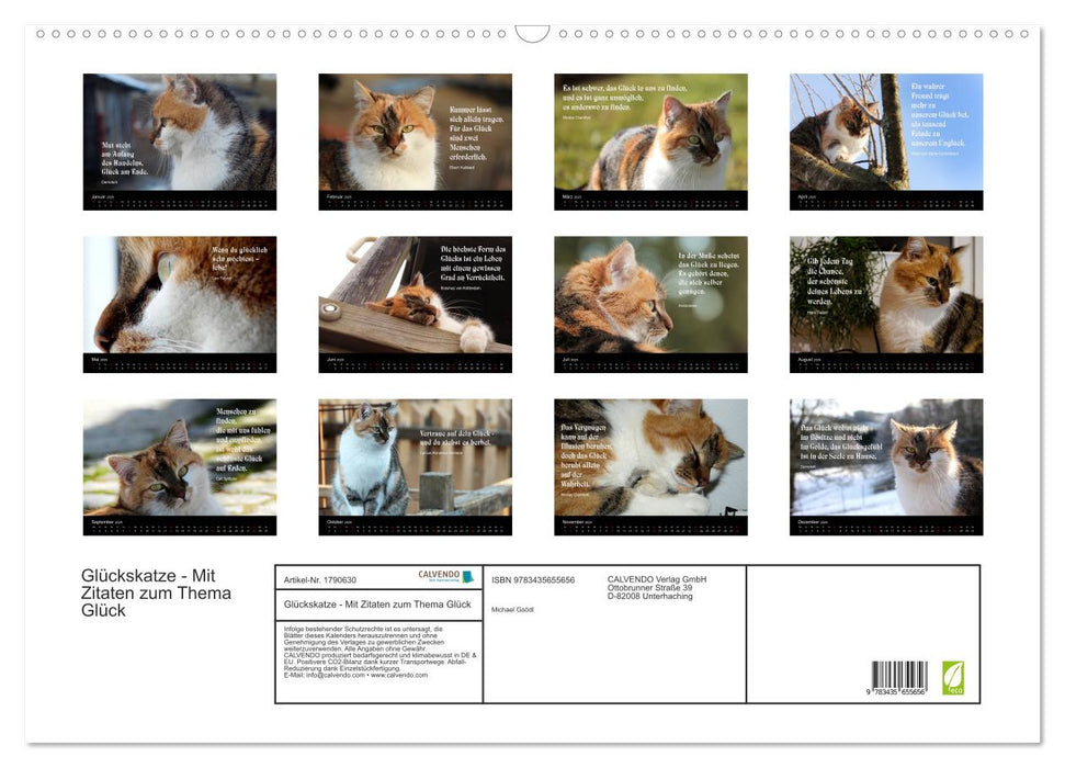 Glückskatze - Mit Zitaten zum Thema Glück (CALVENDO Wandkalender 2025)