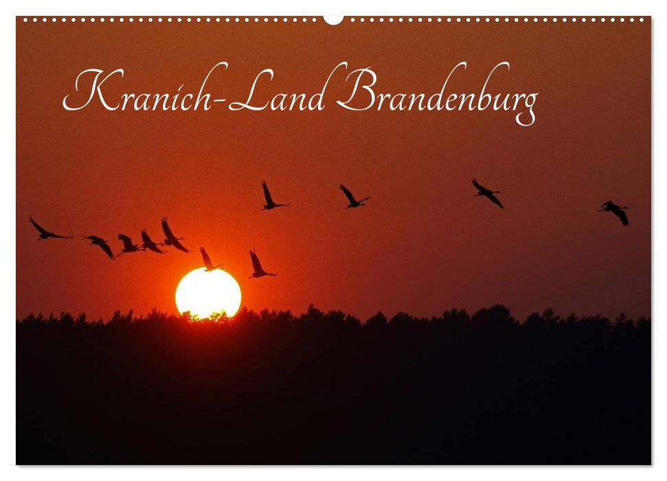 Kranich-Land Brandenburg (CALVENDO Wandkalender 2025)