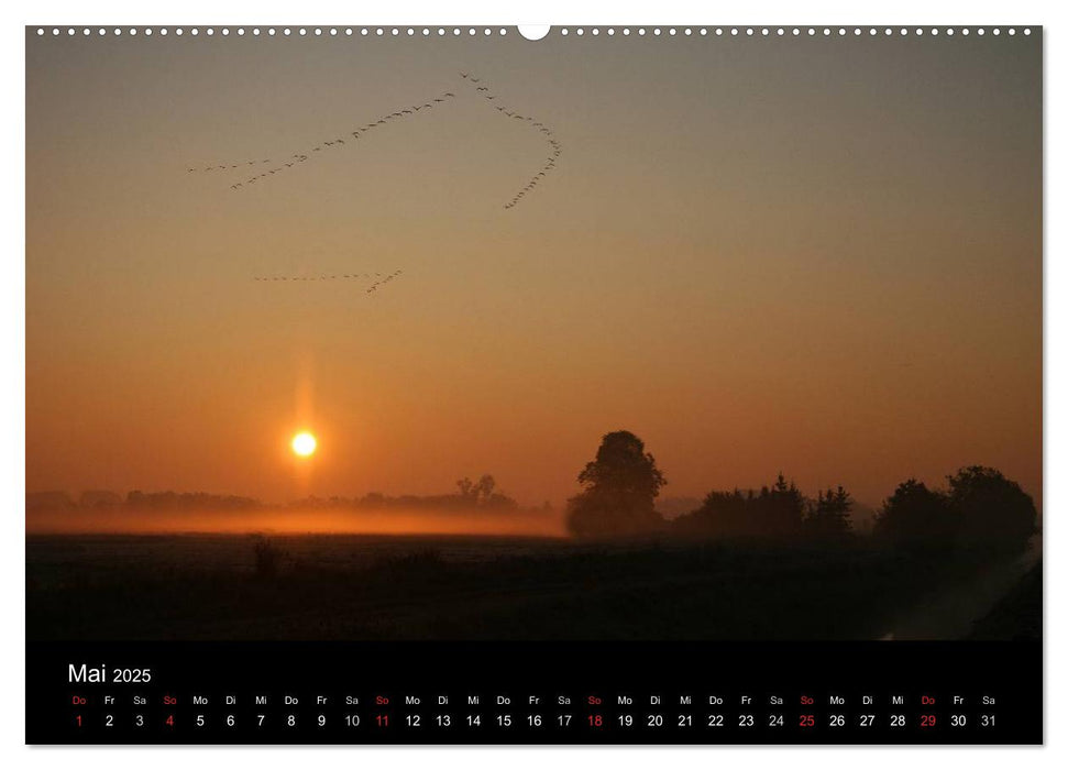 Kranich-Land Brandenburg (CALVENDO Wandkalender 2025)