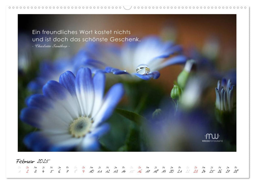 Gedanken... Bildkalender mit Sprüchen (CALVENDO Premium Wandkalender 2025)