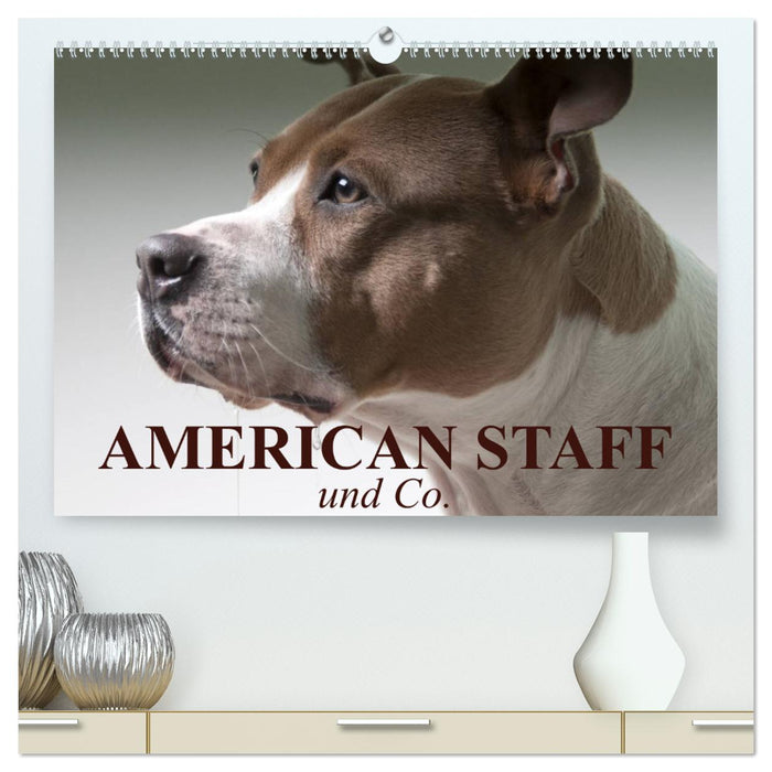 American Staff und Co. (CALVENDO Premium Wandkalender 2025)