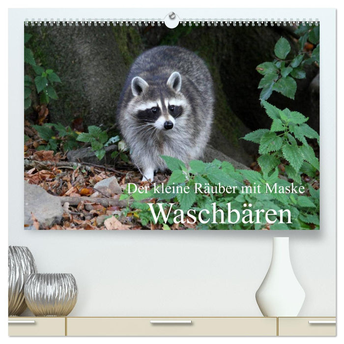 Der kleine Räuber mit Maske - Waschbären (CALVENDO Premium Wandkalender 2025)