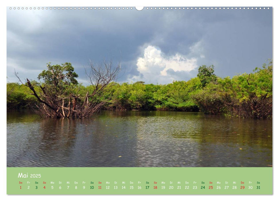 Am Amazonas (CALVENDO Premium Wandkalender 2025)