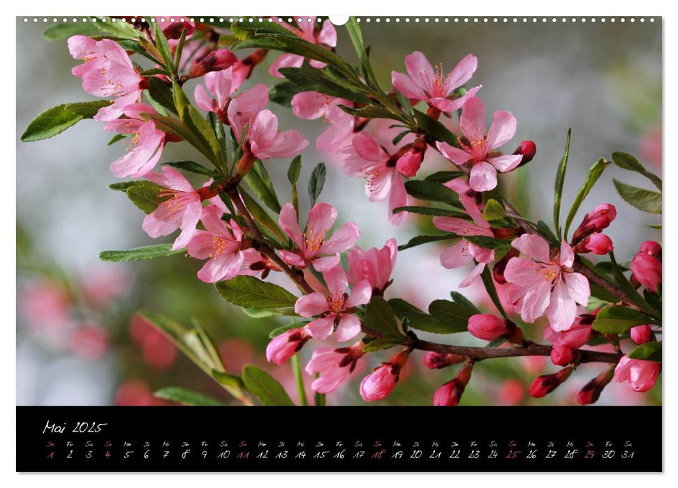 Zeit der Natur - Ein Augenblick zur Ewigkeit (CALVENDO Premium Wandkalender 2025)