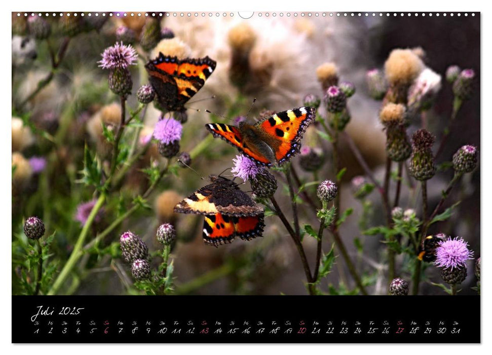 Zeit der Natur - Ein Augenblick zur Ewigkeit (CALVENDO Premium Wandkalender 2025)