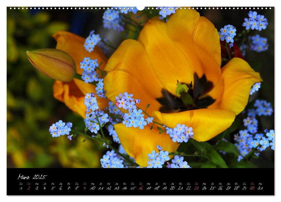 Soft Rock - Visuelle Musik der Blumen (CALVENDO Premium Wandkalender 2025)