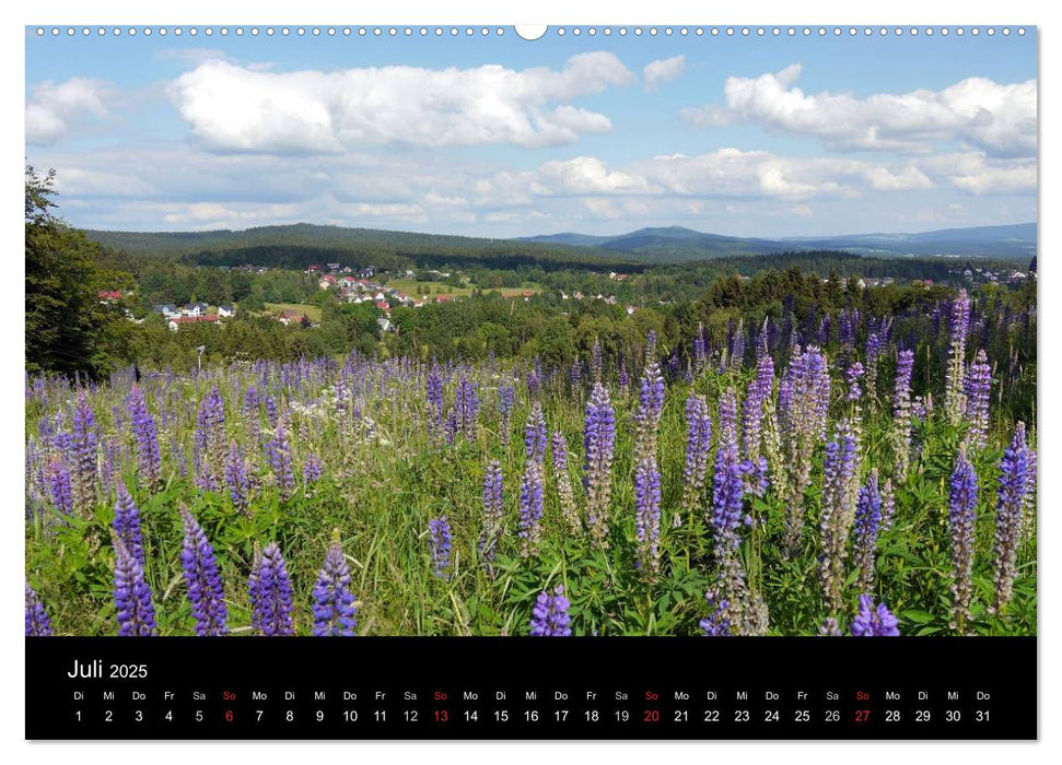 Rund um den Ochsenkopf (CALVENDO Premium Wandkalender 2025)