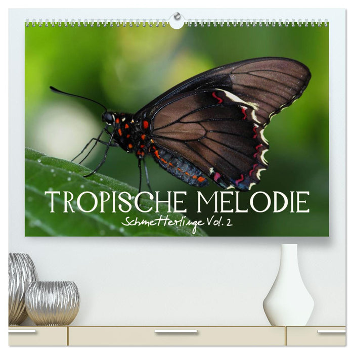 Tropische Melodie - Schmetterlinge Vol.2 (CALVENDO Premium Wandkalender 2025)