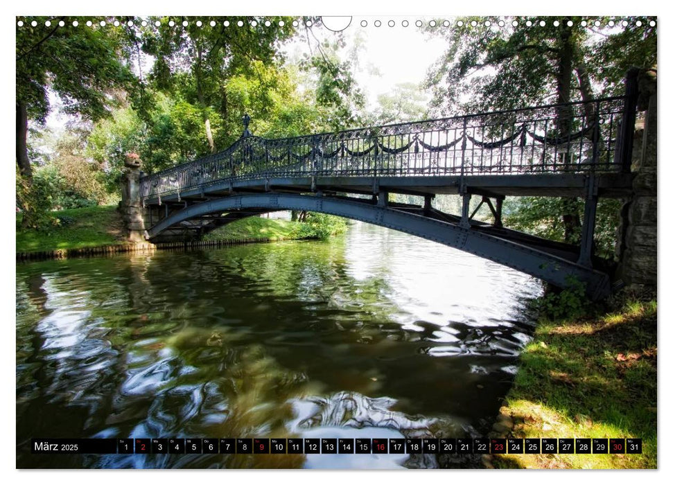 Mecklenburgische Seenplatte - zum Träumen schön (CALVENDO Wandkalender 2025)