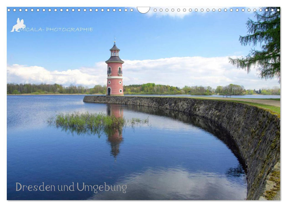 Dresden und Umgebung (CALVENDO Wandkalender 2025)