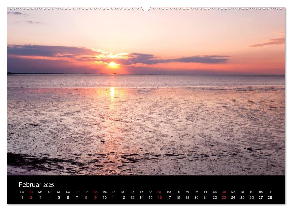 SYLT hinter den Dünen (CALVENDO Premium Wandkalender 2025)